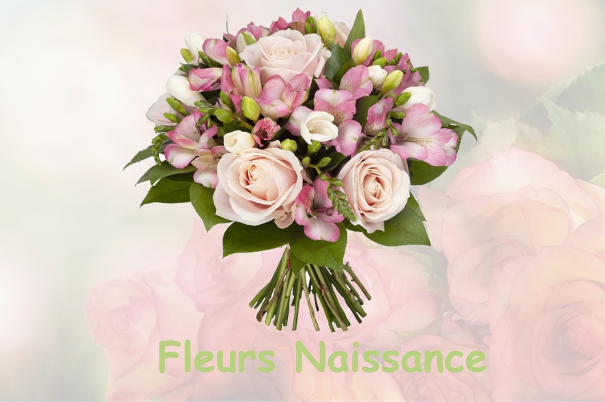 fleurs naissance ROILLY